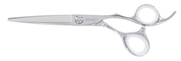 Vision Sensei CG 5,5"